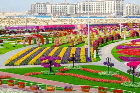 Thăm vườn hoa tự nhiên lớn nhất hành tinh