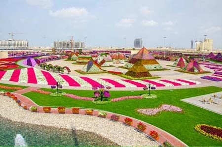 Thăm vườn hoa tự nhiên lớn nhất hành tinh