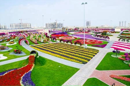 Thăm vườn hoa tự nhiên lớn nhất hành tinh