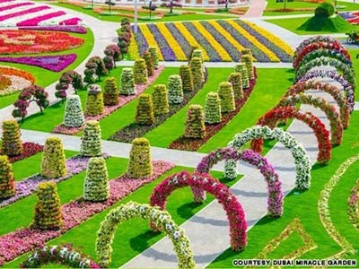 Thăm vườn hoa tự nhiên lớn nhất hành tinh