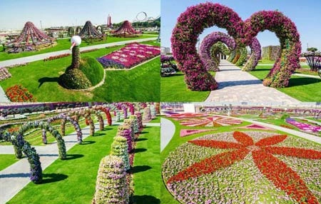 Thăm vườn hoa tự nhiên lớn nhất hành tinh