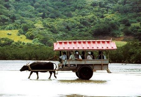 Thư giãn ở hòn đảo xanh taketomi