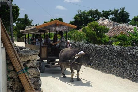 Thư giãn ở hòn đảo xanh taketomi