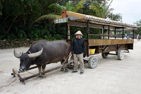 Thư giãn ở hòn đảo xanh taketomi