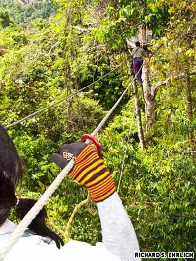 Thử sức du lịch mạo hiểm ở thái lan