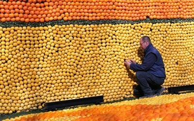 Tươi tắn sắc vàng lễ hội chanh ở pháp