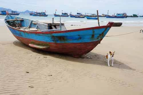Vẻ đẹp hoang sơ của bán đảo nhơn lý