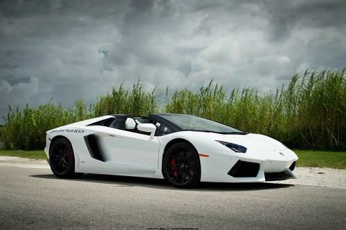  vẻ đẹp lamborghini aventador roadster 2014 