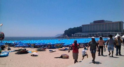Vẻ đẹp quyến rũ của biển busan hàn quốc