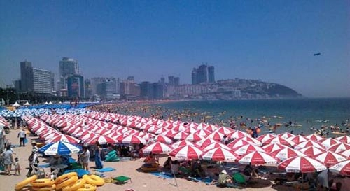 Vẻ đẹp quyến rũ của biển busan hàn quốc
