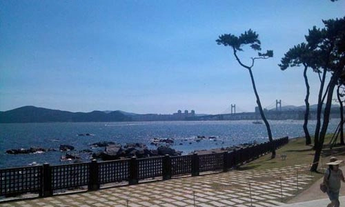 Vẻ đẹp quyến rũ của biển busan hàn quốc