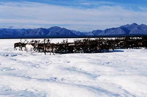 Yakutia - đất nước của những kỷ lục