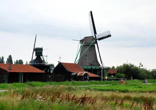 Zaanse schans - chốn bình yên của những cối xay gió