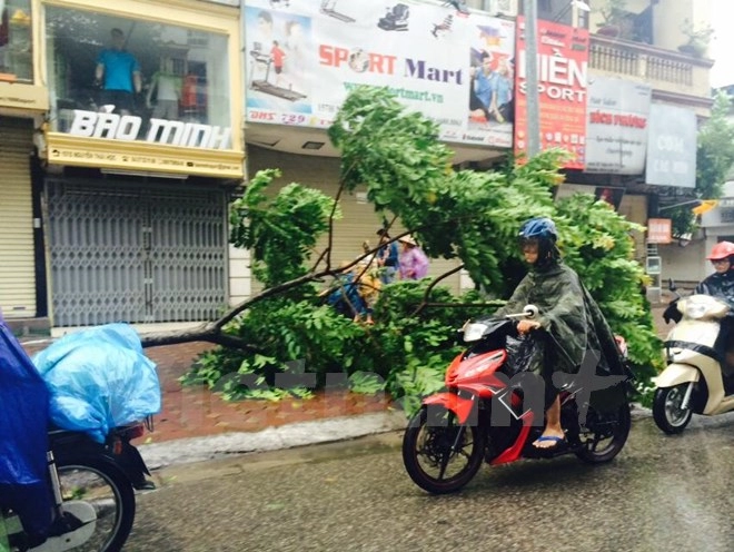 Cảnh báo ngập lụt khu vực nội thành hà nội đang mưa rất to