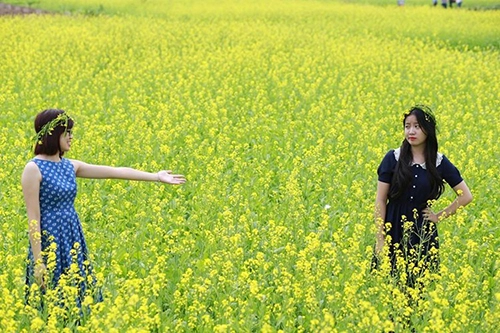 Chà đạp lên cái đẹp để đượcđẹp