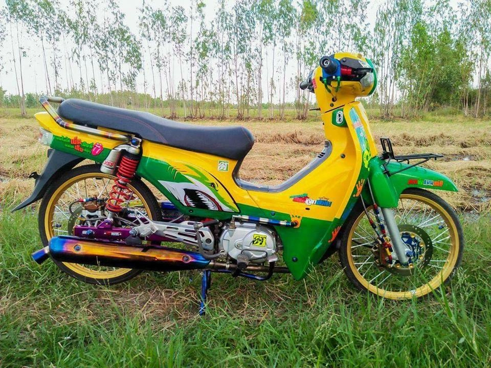 Honda cub fi độ đa sắc màu khoe dáng dưới cánh đồng lúa