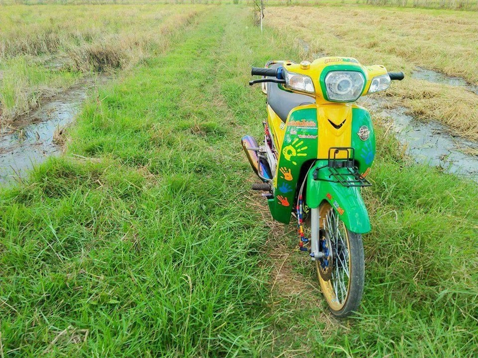 Honda cub fi độ đa sắc màu khoe dáng dưới cánh đồng lúa