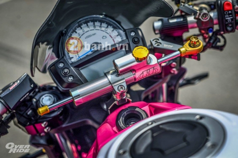 Kawasaki er-6n đầy nữ tính vởi bản độ pinky devilz