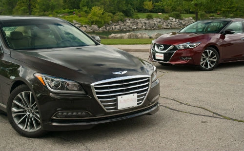 So kè hyundai genesis 2015 và nissan maxima 2016