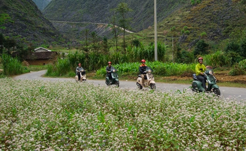  vespa sprint adventure - xe ga đi phượt 