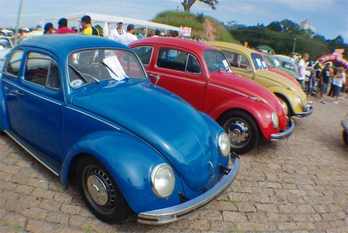  volkswagen beetle cổ đủ sắc màu 