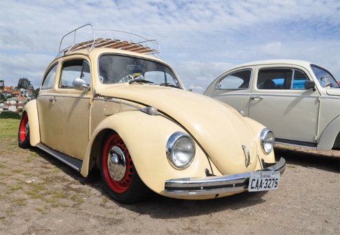  volkswagen beetle cổ đủ sắc màu 