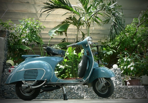  xế cổ vespa 150 vbb 1963 ở cam ranh 