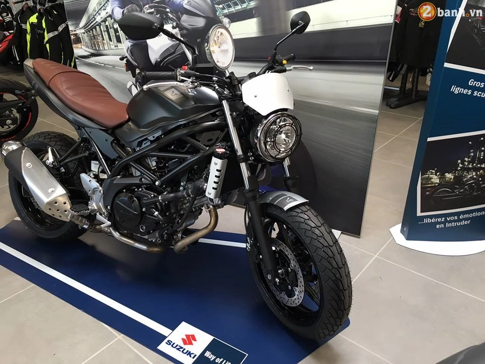 Bản độ scrambler đẹp hút hồn của suzuki sv650 2017