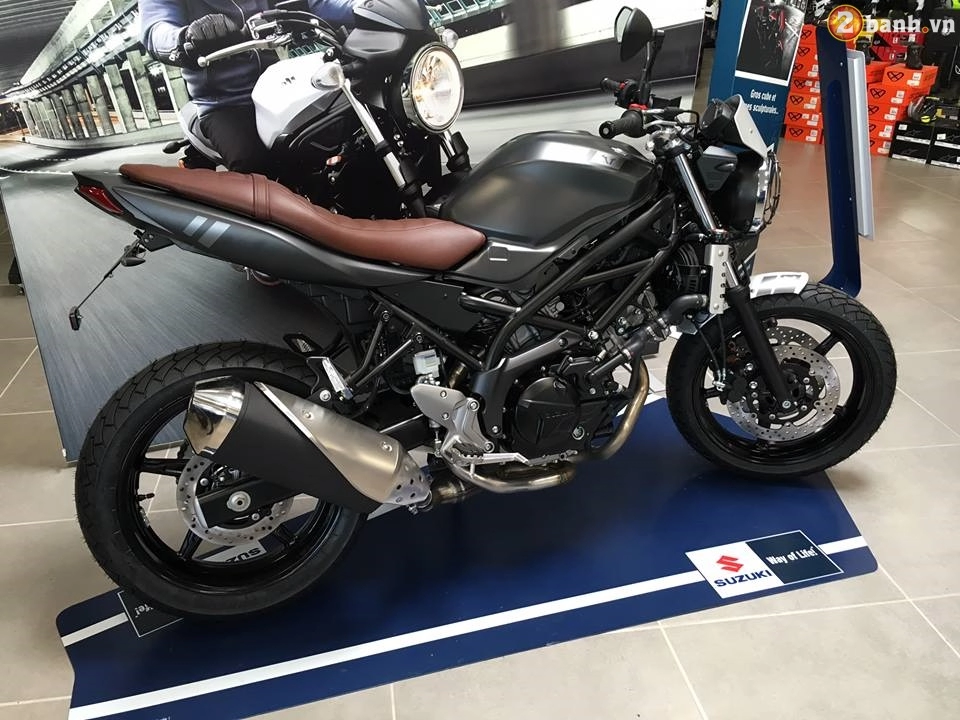 Bản độ scrambler đẹp hút hồn của suzuki sv650 2017