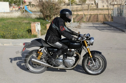  triumph phát triển cafe-racer 1100 phân khối 