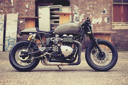  triumph thruxton - cafe racer từ xứ chuột túi 